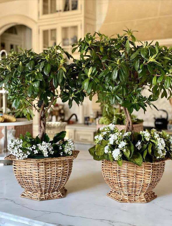 Hexagon Wicker Planter (3 Sizes): Medium
