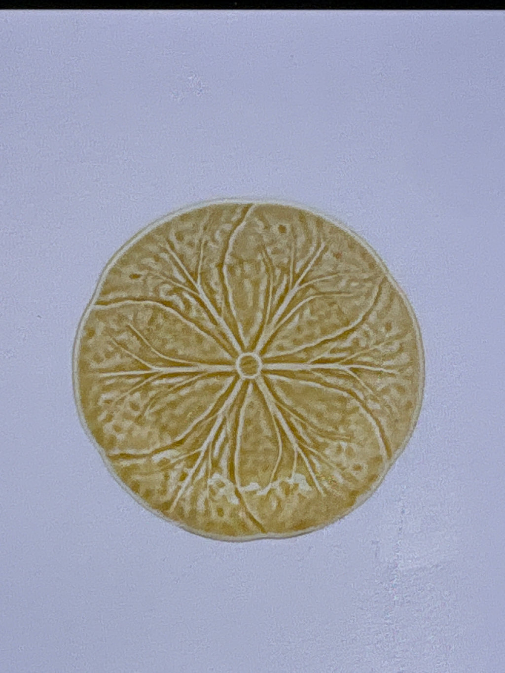 Van Verre Salad Plate