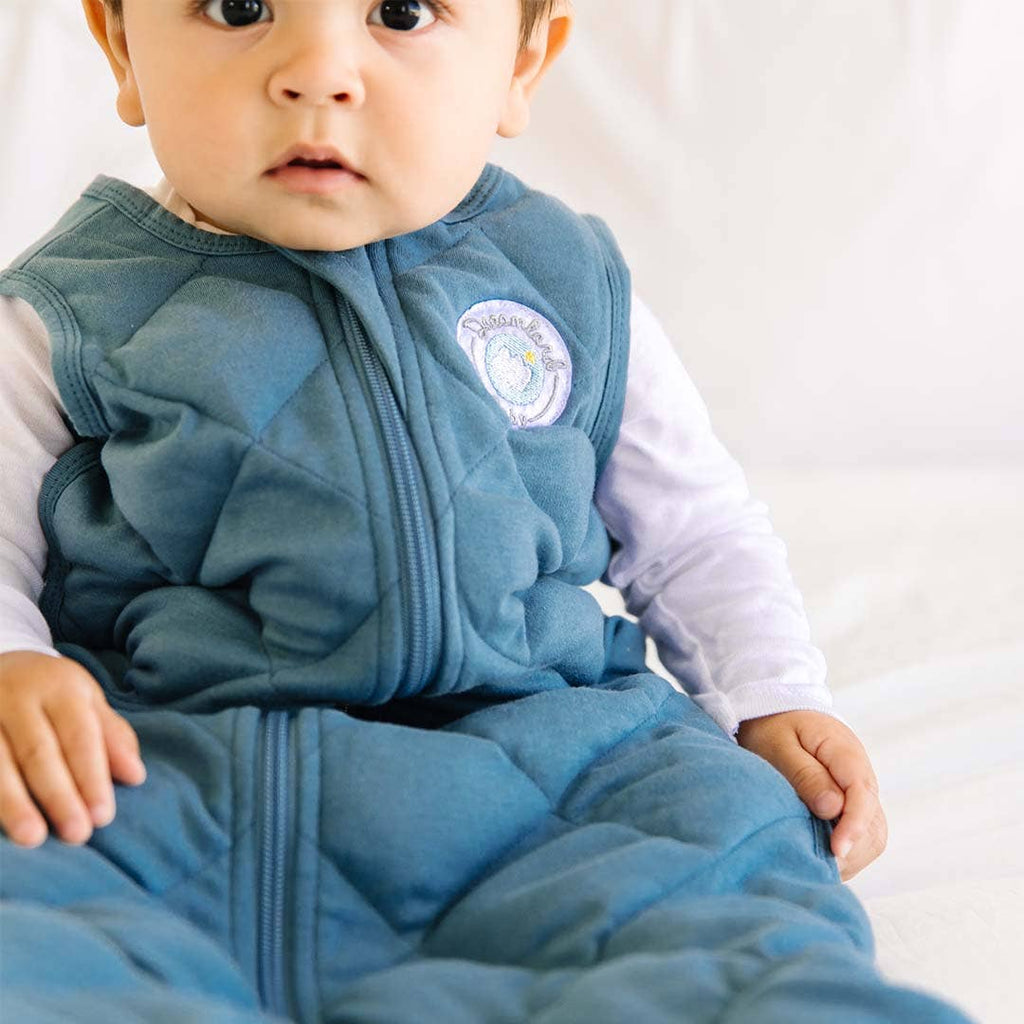 Dream Weighted Sleep Sack - Ocean Blue: Ocean Blue / 0-6 Months