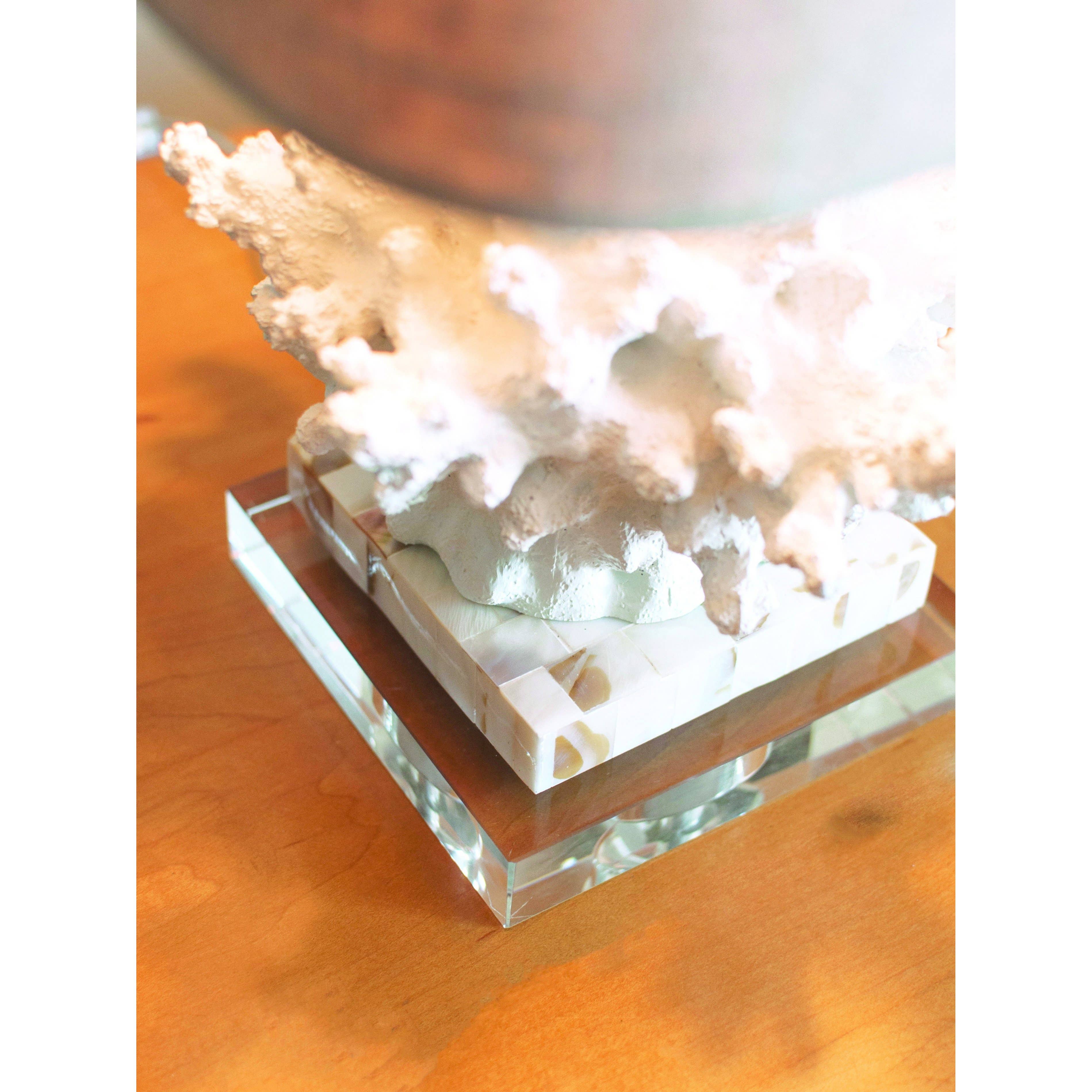 Wayfarer Coral Table Lamp