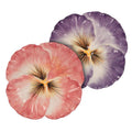 Fitz & Floyd Halcyon Pansy Snack Plate S2 Brown Bx Pkg