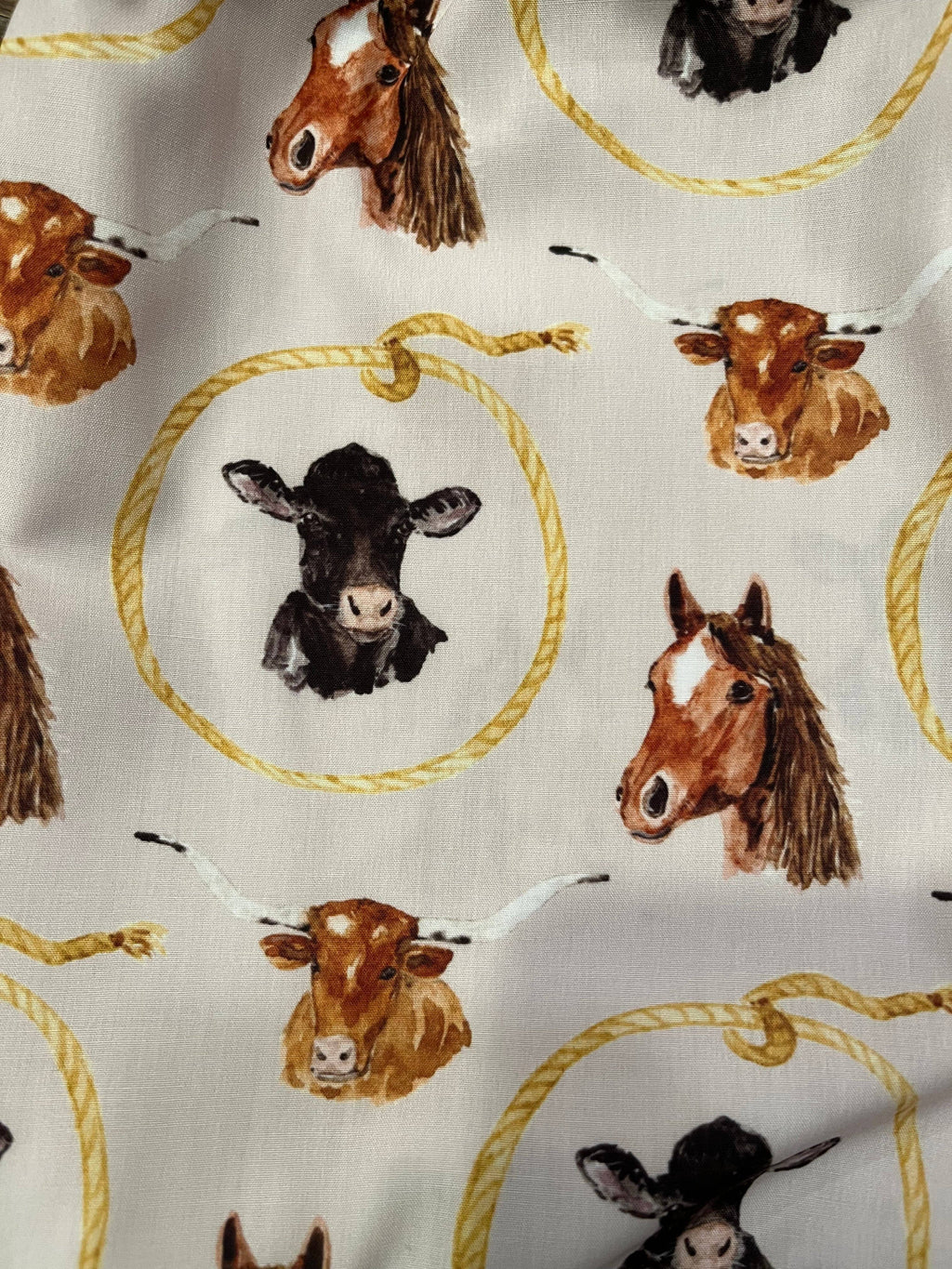 Boys Let's Rodeo Shirt: 18M