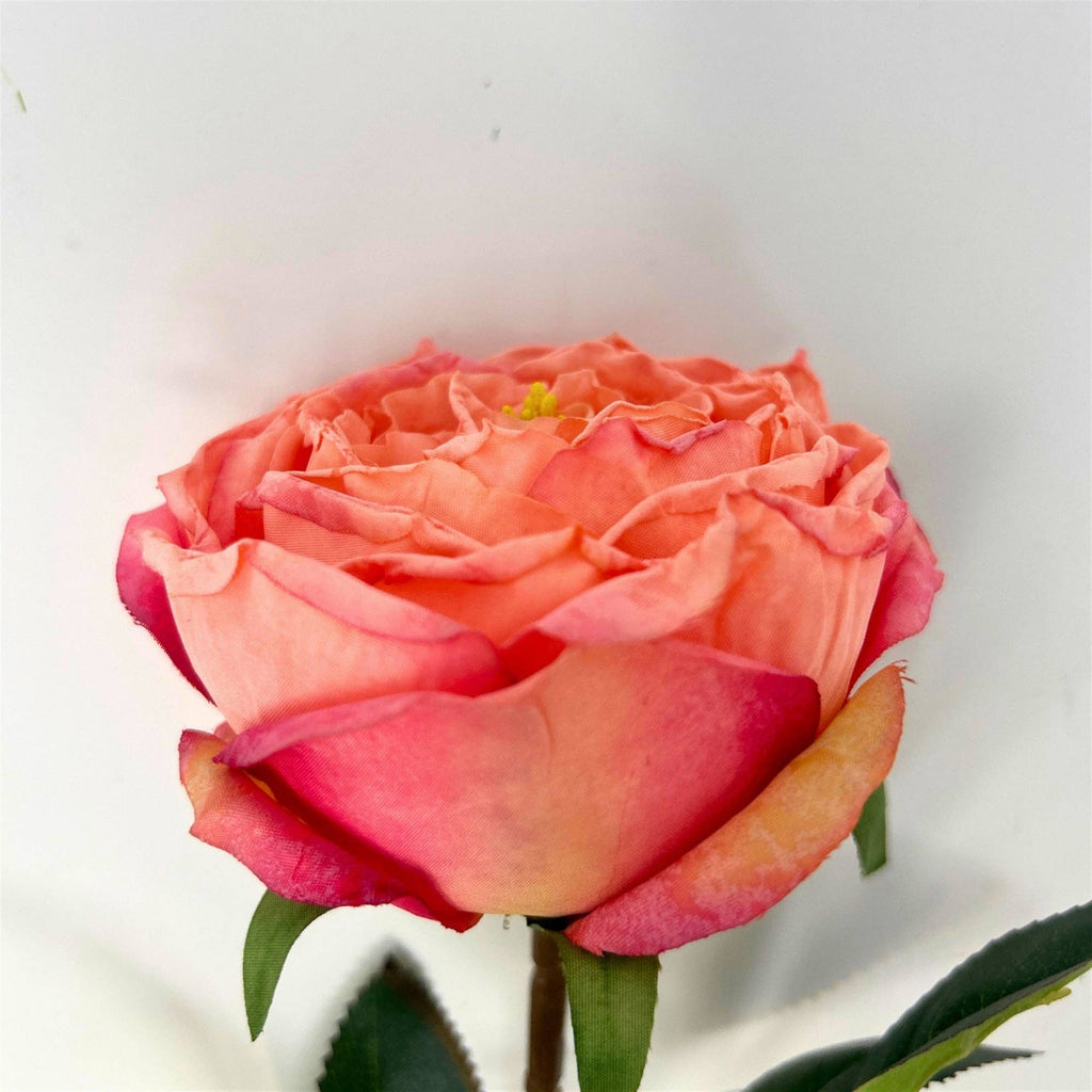 Windsor Rose Stem 24" - Pink