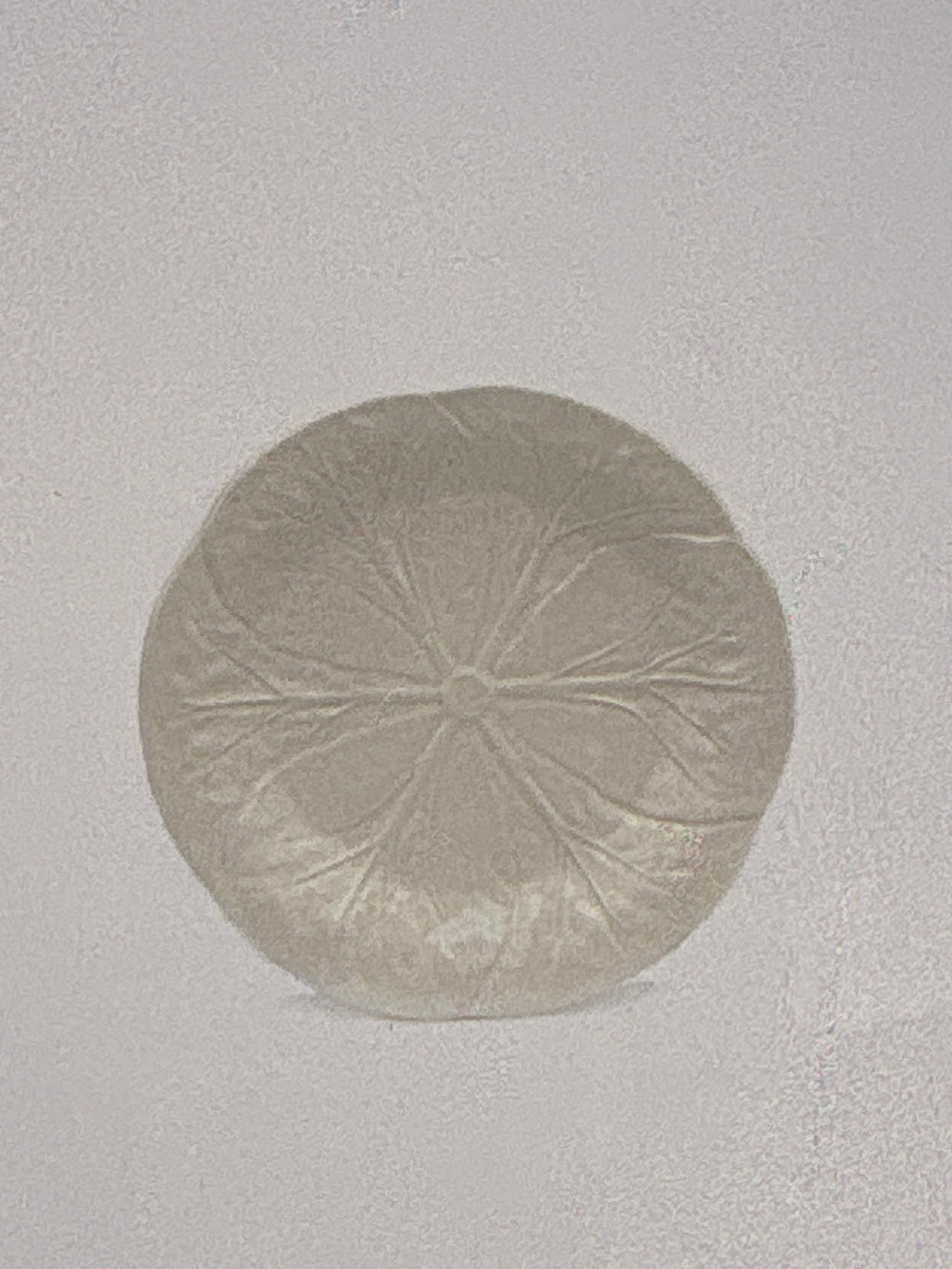 Van Verre Salad Plate
