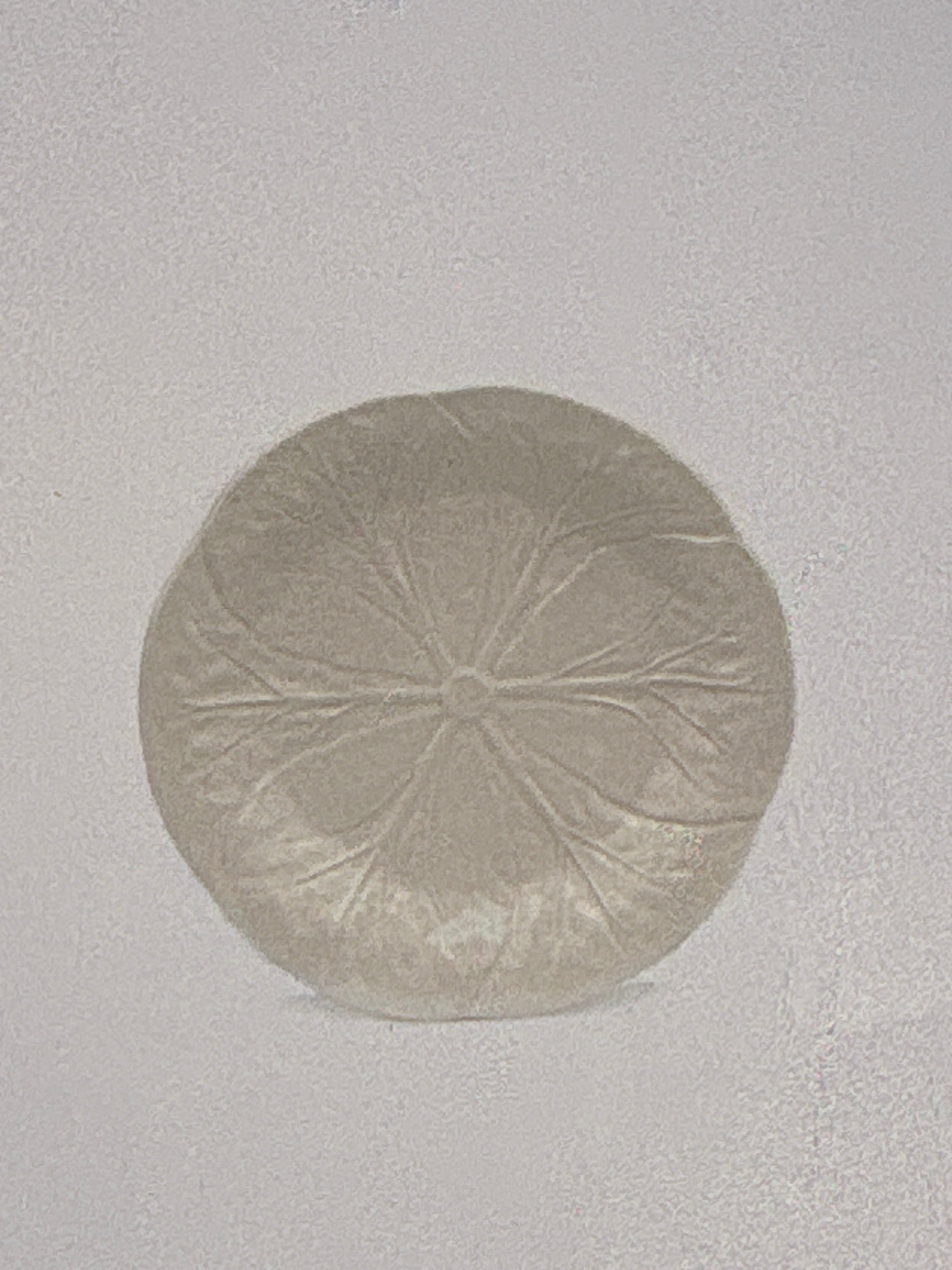 Van Verre Dinner Plate