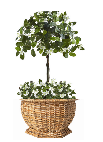Hexagon Wicker Planter (3 Sizes): Medium