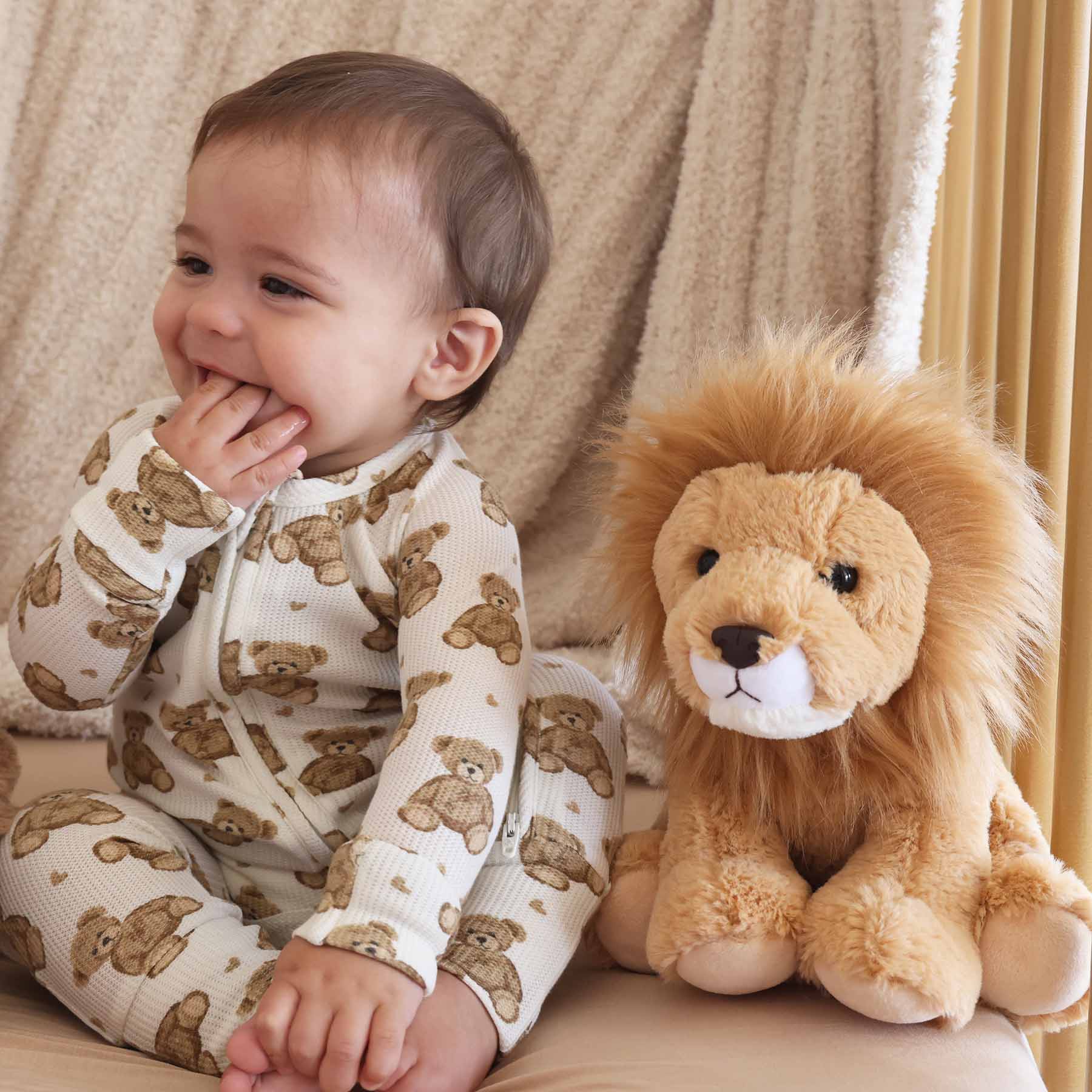 Large Cuddle Plush Friends | Rory Lion